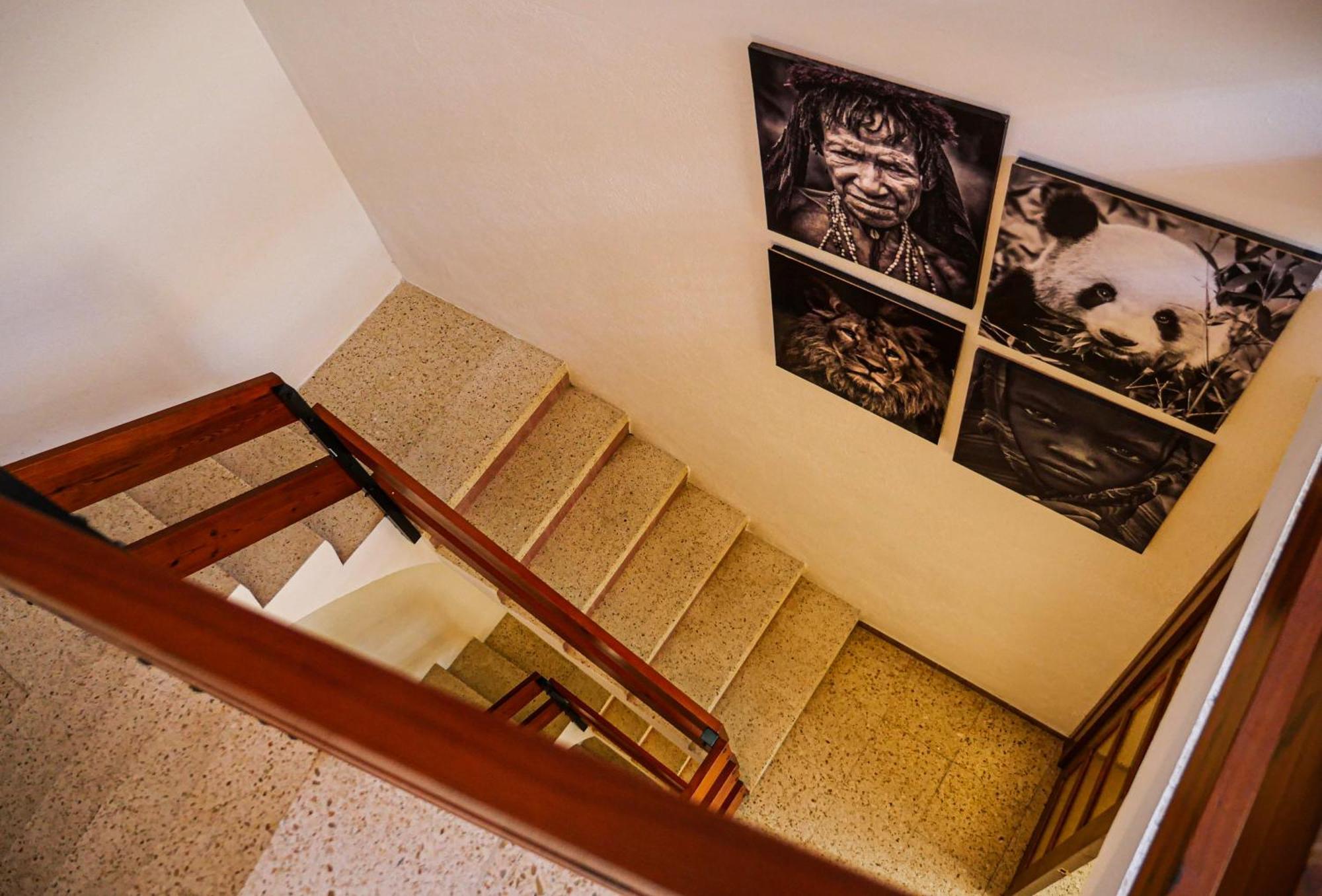 L'Amagatall De Talarn, Casa Per A Compartir מראה חיצוני תמונה